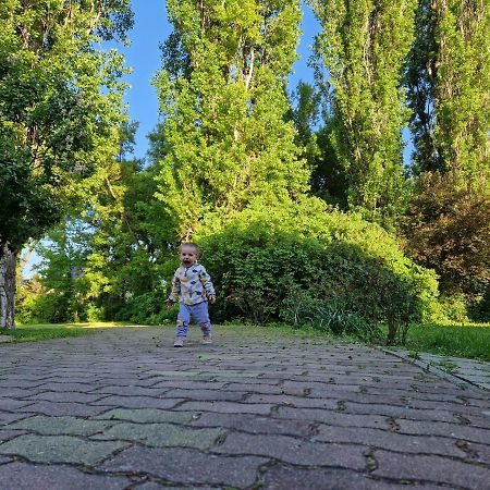 Roza Hotel Es Apartmanhaz Esztergom Bagian luar foto