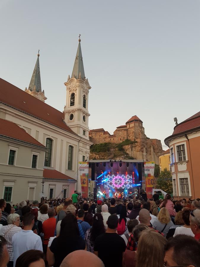 Roza Hotel Es Apartmanhaz Esztergom Bagian luar foto