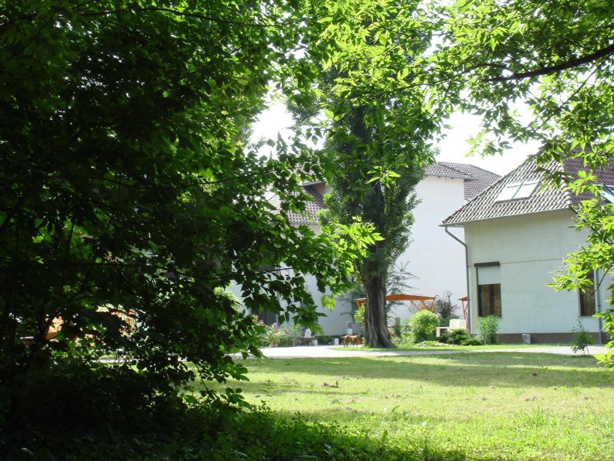 Roza Hotel Es Apartmanhaz Esztergom Bagian luar foto