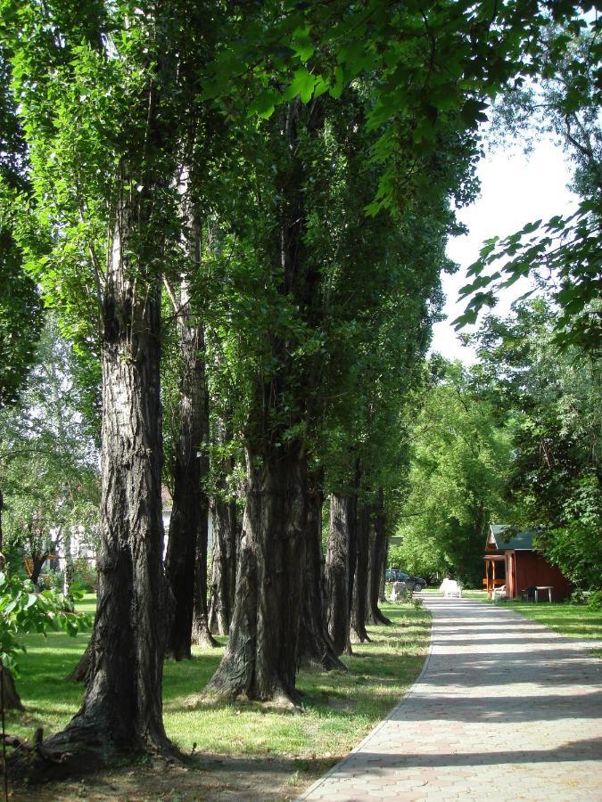Roza Hotel Es Apartmanhaz Esztergom Bagian luar foto